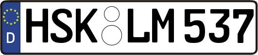 HSK-LM537
