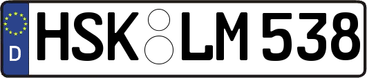HSK-LM538