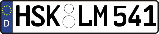 HSK-LM541