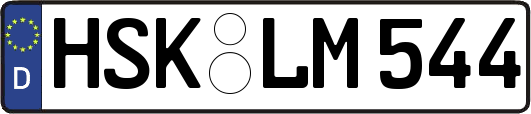 HSK-LM544