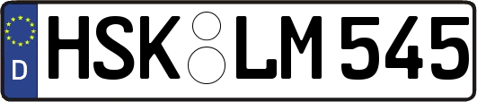 HSK-LM545