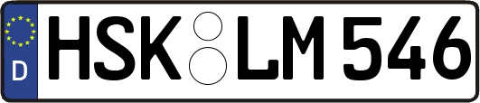 HSK-LM546