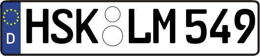 HSK-LM549