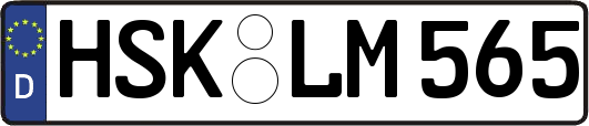HSK-LM565