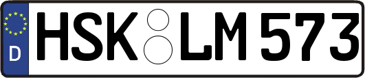 HSK-LM573