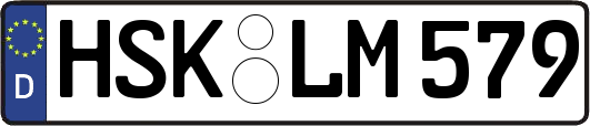 HSK-LM579