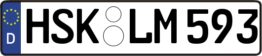 HSK-LM593