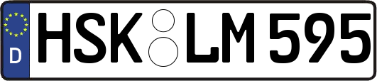 HSK-LM595