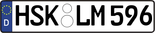 HSK-LM596