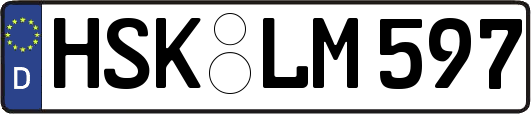 HSK-LM597