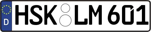 HSK-LM601