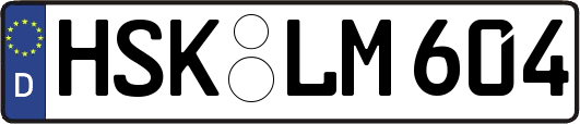 HSK-LM604