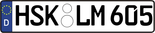 HSK-LM605
