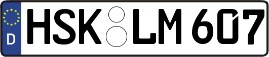HSK-LM607