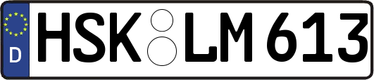 HSK-LM613