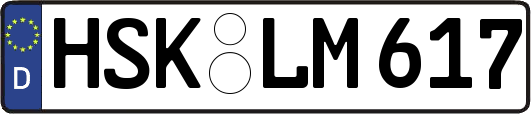 HSK-LM617