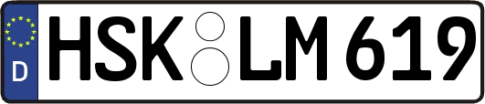 HSK-LM619