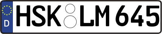 HSK-LM645