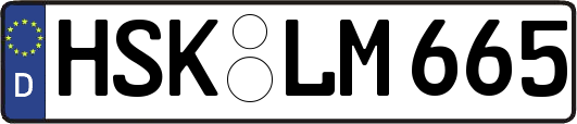 HSK-LM665
