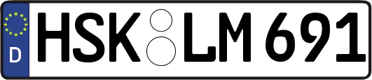 HSK-LM691