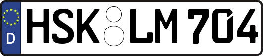 HSK-LM704
