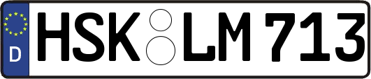 HSK-LM713