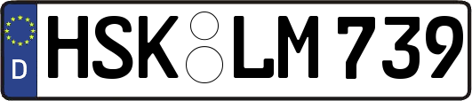 HSK-LM739