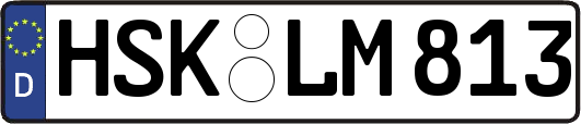 HSK-LM813