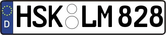 HSK-LM828