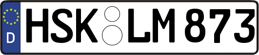 HSK-LM873