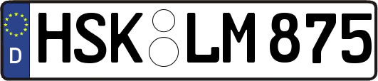 HSK-LM875
