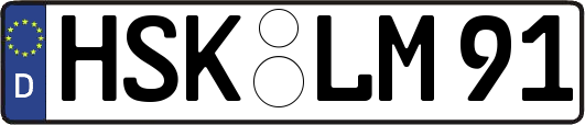 HSK-LM91