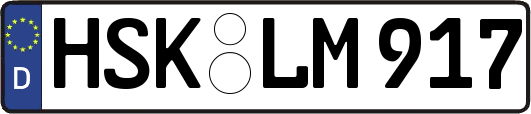 HSK-LM917
