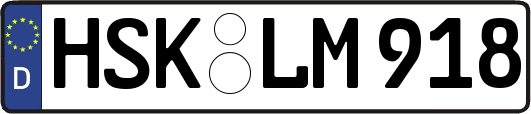 HSK-LM918