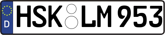 HSK-LM953