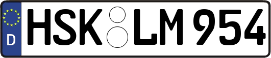 HSK-LM954