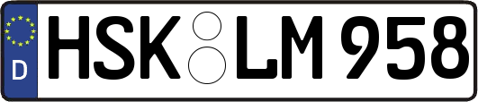 HSK-LM958