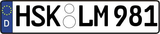 HSK-LM981
