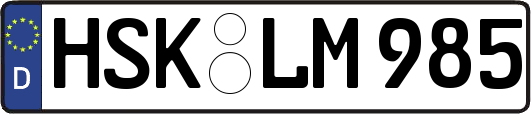 HSK-LM985