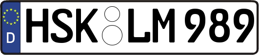 HSK-LM989