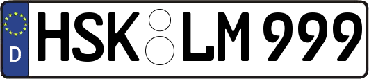 HSK-LM999