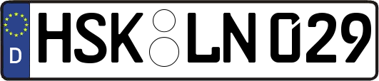 HSK-LN029