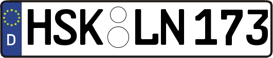 HSK-LN173