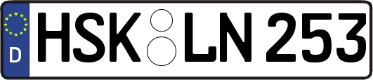 HSK-LN253