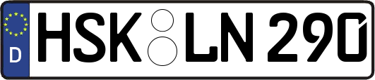 HSK-LN290
