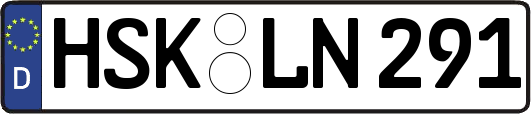 HSK-LN291