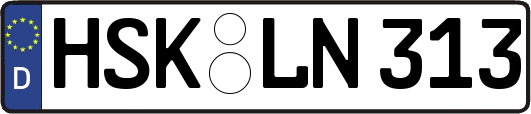 HSK-LN313