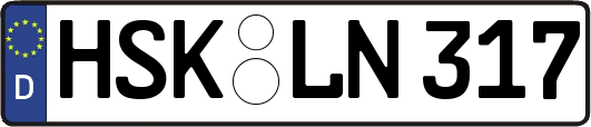 HSK-LN317
