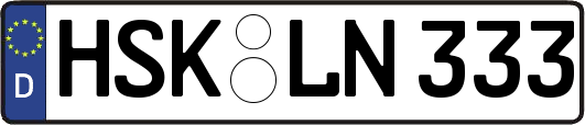 HSK-LN333