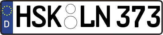 HSK-LN373